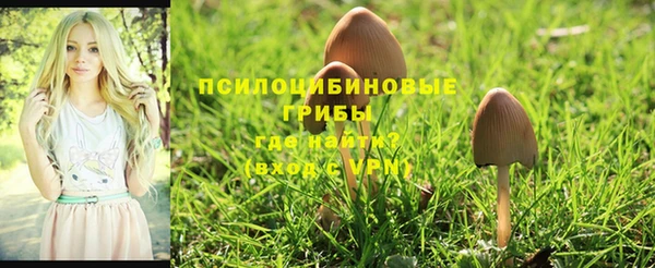 мяу мяу мука Навашино